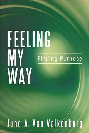 Feeling My Way de June A. Van Valkenburg