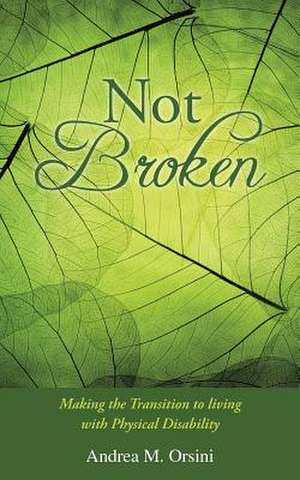 Not Broken de Andrea M. Orsini