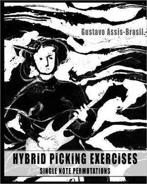 Hybrid Picking Exercises de Gustavo Assis-Brasil