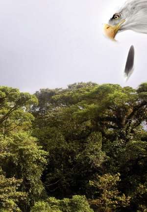 Cuauhtemoc de D. L. Davies