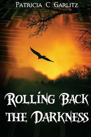 Rolling Back the Darkness de Patricia C. Garlitz