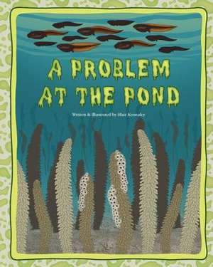 A Problem at the Pond de Blair Kennaley