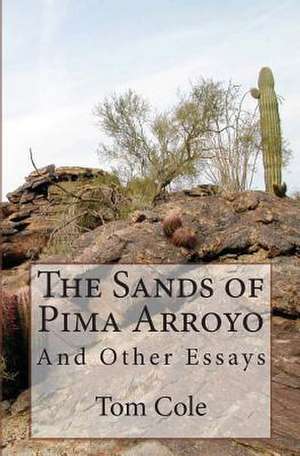 The Sands of Pima Arroyo de Tom Cole