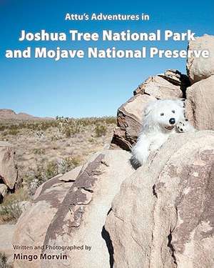 Attu's Adventures in Joshua Tree National Park and Mojave National Preserve de Mingo Morvin