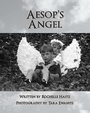 Aesop's Angel de Rochelle Haitz