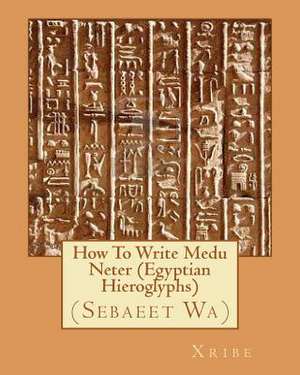 How to Write Medu Neter (Egyptian Hieroglyphs) de Xribe