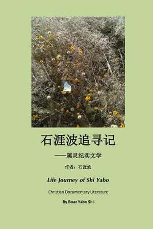 Life Journey of Boaz de Boaz Yabo Shi