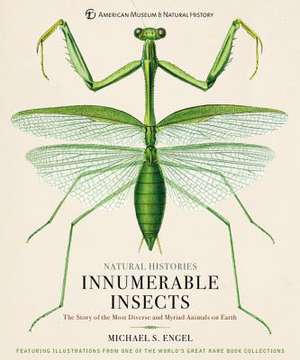 Innumerable Insects de Michael S Engel