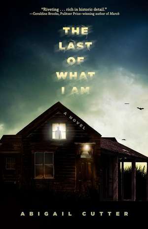 The Last of What I Am de Abigail Cutter