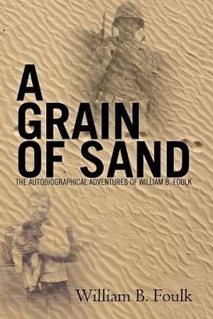 A Grain of Sand de William B. Foulk