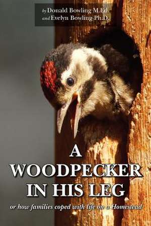 A Woodpecker in His Leg de Donald Bowling