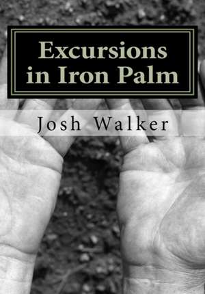 Excursions in Iron Palm de Josh Walker