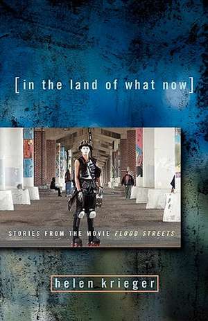 In the Land of What Now de Helen Krieger