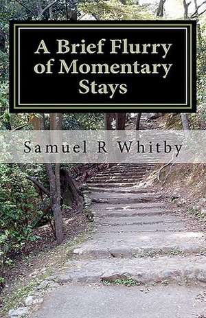 A Brief Flurry of Momentary Stays de Samuel R. Whitby