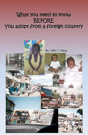 What You Need to Know Before You Adopt from a Foreign Country de Valle C. Oberg