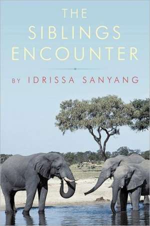 The Siblings Encounter de Idrissa Sanyang