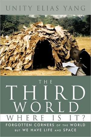 The Third World Where Is It? de Unity Elias Yang