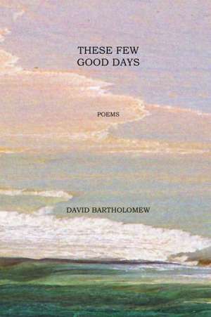 These Few Good Days de David Bartholomew