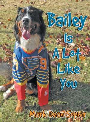 Bailey Is a Lot Like You: The Rise After the Fall de Mark Dean Sophir