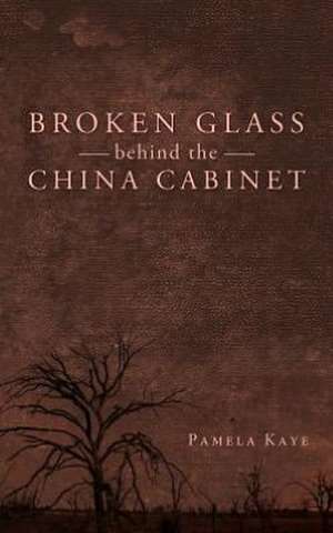 Broken Glass Behind the China Cabinet de Pamela Kaye