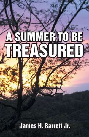 A Summer to Be Treasured de James H. Barrett Jr