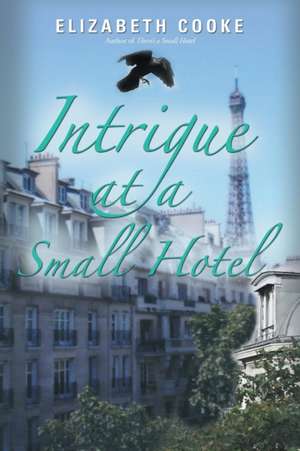 Intrigue at a Small Hotel de Elizabeth Cooke