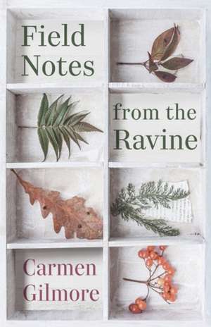 Field Notes from the Ravine de Carmen Gilmore