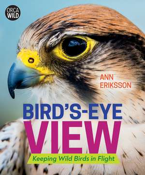 Bird's-Eye View de Ann Eriksson