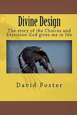 Divine Design de David Foster