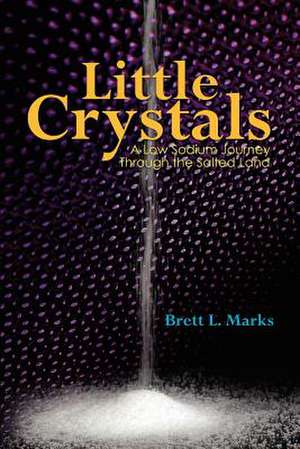 Little Crystals de Brett L. Marks