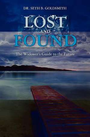 Lost and Found de Seth B. Goldsmith