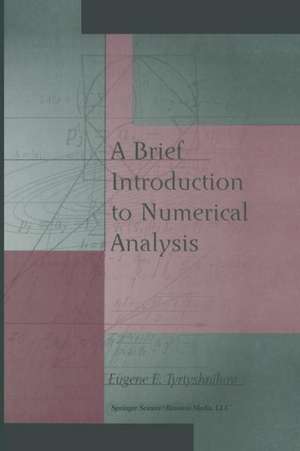 A Brief Introduction to Numerical Analysis de Eugene E. Tyrtyshnikov