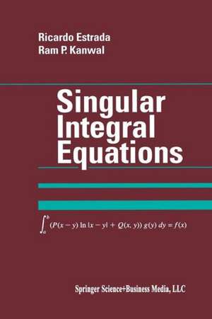 Singular Integral Equations de Ricardo Estrada