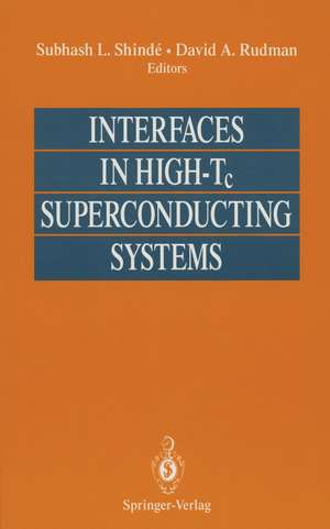 Interfaces in High-Tc Superconducting Systems de Subhash L. Shinde