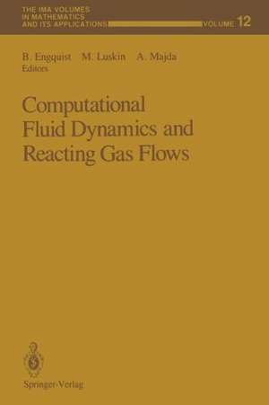 Computational Fluid Dynamics and Reacting Gas Flows de Bjorn Engquist