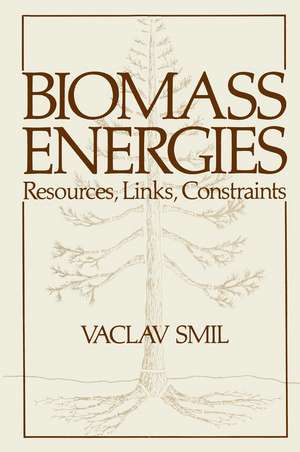 Biomass Energies: Resources, Links, Constraints de Vaclav Smil