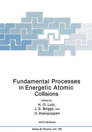 Fundamental Processes in Energetic Atomic Collisions de H.O. Lutz