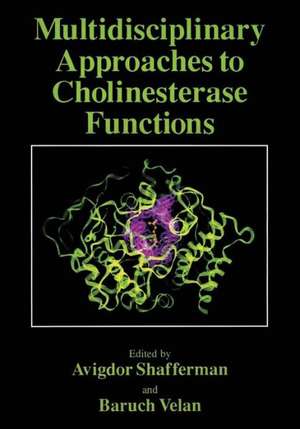 Multidisciplinary Approaches to Cholinesterase Functions de Avigdor Shafferman