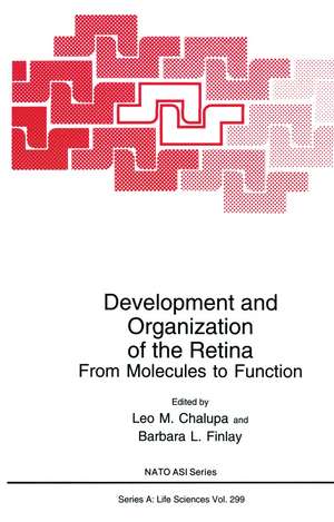 Development and Organization of the Retina: From Molecules to Function de Leo M. Chalupa