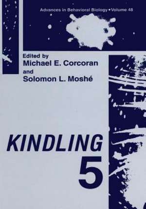 Kindling 5 de Michael E. Corcoran