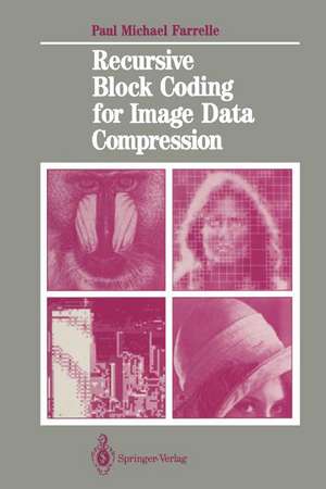 Recursive Block Coding for Image Data Compression de Paul M. Farrelle