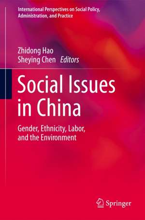 Social Issues in China: Gender, Ethnicity, Labor, and the Environment de Zhidong Hao