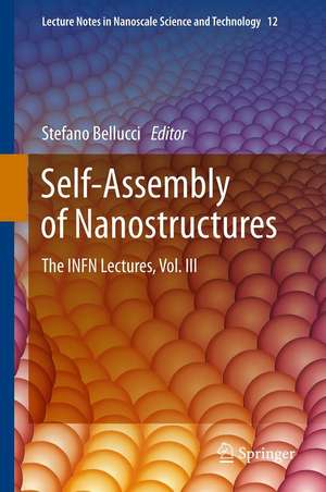 Self-Assembly of Nanostructures: The INFN Lectures, Vol. III de Stefano Bellucci