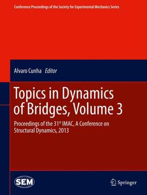 Topics in Dynamics of Bridges, Volume 3: Proceedings of the 31st IMAC, A Conference on Structural Dynamics, 2013 de Alvaro Cunha