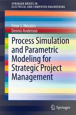 Process Simulation and Parametric Modeling for Strategic Project Management de Peter J. Morales