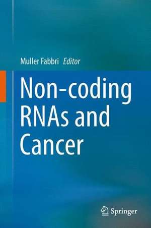 Non-coding RNAs and Cancer de Muller Fabbri