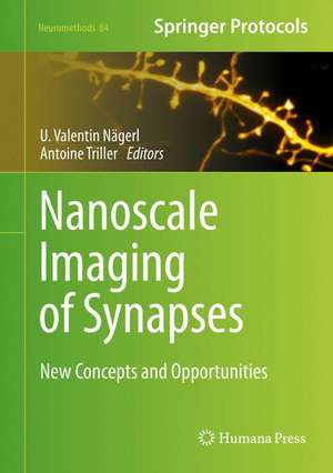 Nanoscale Imaging of Synapses: New Concepts and Opportunities de U. Valentin Nägerl