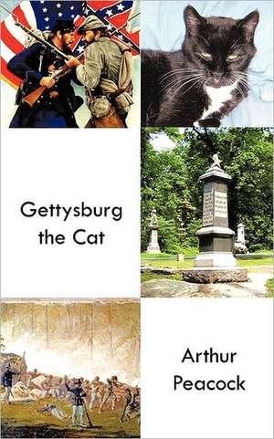 Gettysburg the Cat de Arthur Peacock