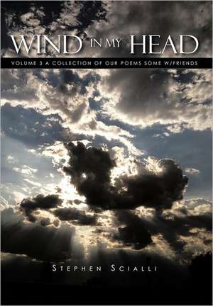 Wind In My Head de Stephen Scialli