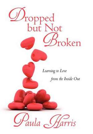 Dropped But Not Broken de Paula Harris